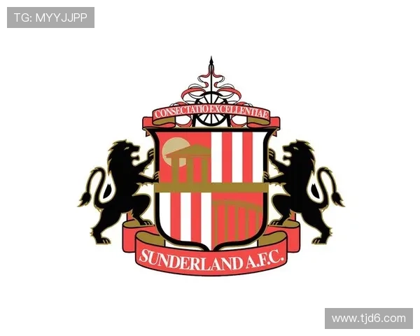 桑德兰俱乐部历史回顾与未来展望：从传统强队到英格兰足球新势力的崛起