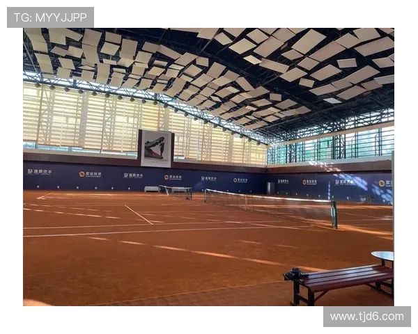 红土网球场地的独特魅力与技术挑战解析